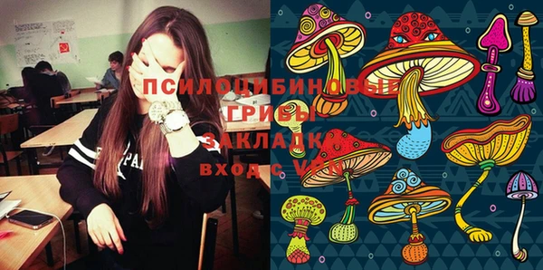 бошки Дмитровск