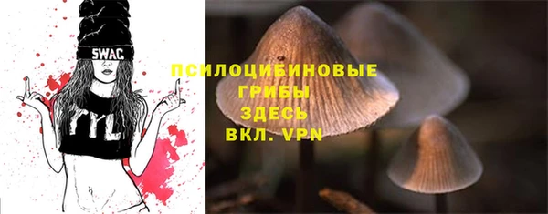 альфа пвп Дмитриев