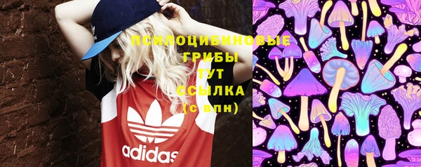 mix Дмитров