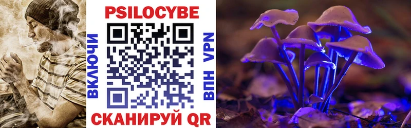 Псилоцибиновые грибы Psilocybine cubensis Полярный